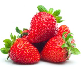 تصویر توت فرنگی 