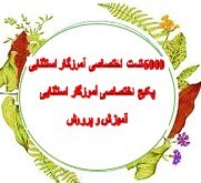 تصویر 6000 نمونه سوالات تست حیطه اختصاصی آموزگار استثنایی 