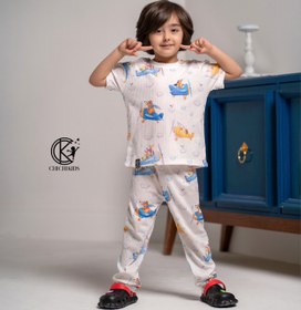 تصویر راحتی ریلی هواپیما 