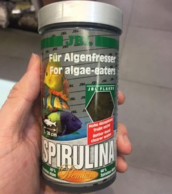 تصویر غذای پولکی جلبک اسپیرولینا جی بی ال JBL Spirulina