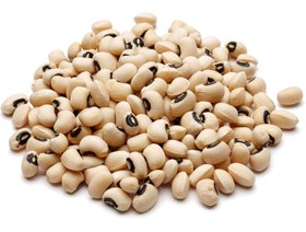 تصویر لوبیا چشم بلبلی 