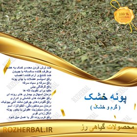 تصویر پونه کوهی - 500 گرمی 