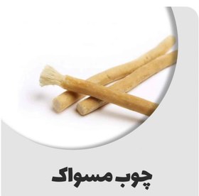 تصویر چوب مسواک پیامبر 