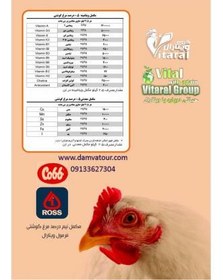 تصویر مکمل 0.5 درصد مرغ گوشتی 