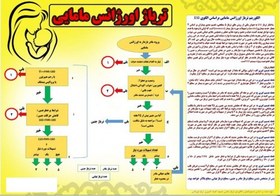 تصویر پوستر تریاژ اورژانس مامایی (پوستر جامع الگوریتم تریاژ ESI اورژانس مامایی) 