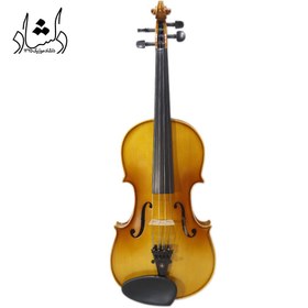 تصویر ویولن تی اف مدل 142 4/4 ا TF 142 4/4 violin TF 142 4/4 violin