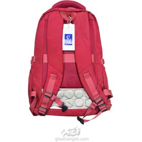 تصویر کوله پشتی Snowsking 