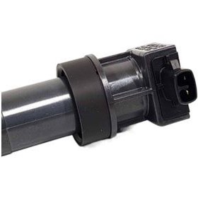 تصویر کوئل سر شمع 