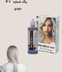 تصویر شامپو رنگ موی پیگمنت - شامپو رنگ پیگمنت رنگ دودی کد 2 