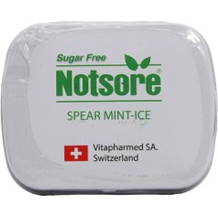 تصویر خوشبو کننده دهان نعناع یخی ناتسور ۱۴ گرم Notsore Mouth Freshener Ice Mint 14 gr