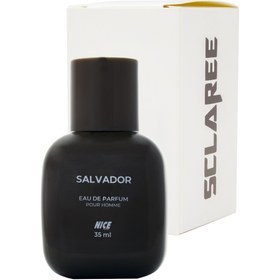 تصویر عطر جیبی مردانه نایس پاپت مدل Salvador حجم 35 میلی لیتر 