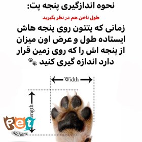 تصویر کفش سگ و گربه لاتکسی 