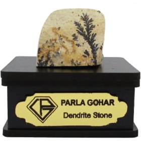 تصویر سنگ شجر فسیلی (دندریتی ) کد 2337 