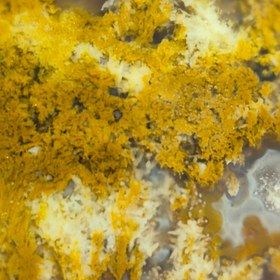 تصویر عقیق پاییزه سایز مدالی Agate paize