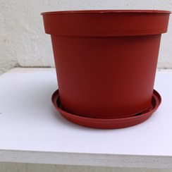 تصویر گلدون پلاستیکی پاچیرا سایز19 