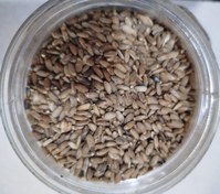 تصویر خارمریم - ۱۰۰۰ گرم Milk thistle