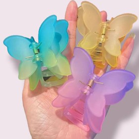 تصویر کلیپس پروانه دو بال یخی 