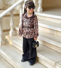 تصویر سه تکه مجلسی پلنگی 