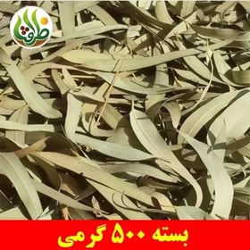 تصویر برگ اکالیپتوس ممتاز ظرافت 500 گرمی 