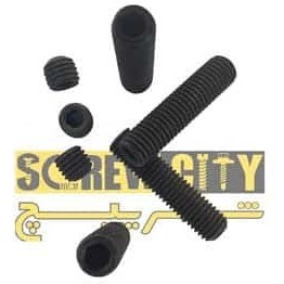 تصویر آلن مغزی 