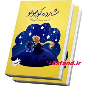 تصویر کتاب دو زبانه شازده کوچولو اثر آنتوان دوسنت اگزوپری نشر نسیم قلم 