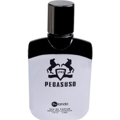 تصویر ادکلن بایلندو پگاسوسو(Bailando Pegasuso)-حجم 100 میل Bailando Pegasuso Eduperfume For Men