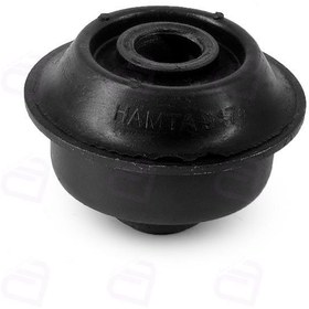 تصویر بوش تعادل تیبا ریو همتا