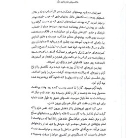 تصویر کتاب خاکسپاری دوم بانوی مرگ نشر انقلاب اسلامی 