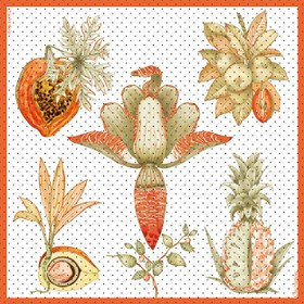 تصویر روسری پالیزا 