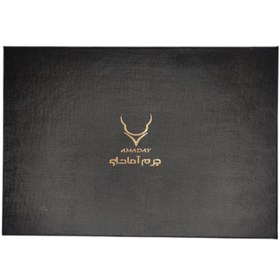 تصویر ست هدیه مردانه چرم آمادای مدل هورس 