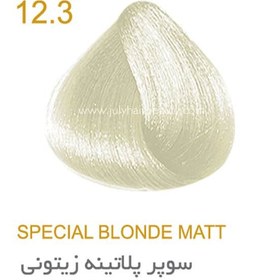 تصویر رنگ مو جولای سوپر پلاتینه زیتونی 12.3 حجم 100 میل Special Blonde Matt July 