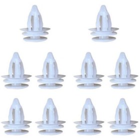 تصویر خار رودری لیفان 