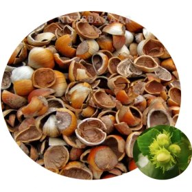 تصویر پوست فندق (عمده) 