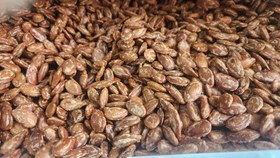 تصویر تخمه ژاپنی شور(500گرم)فله 