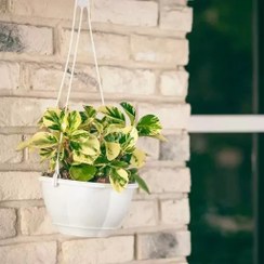 تصویر گلدان آویز گل آذین مدل 330 