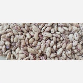 تصویر لوبیا چیتی ازبک درجه یک 