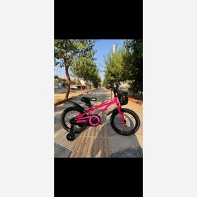 تصویر دوچرخه اینتنس در 3 سایز 12 16 20 
