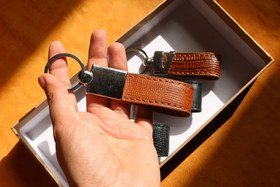 تصویر جاکلیدی - لیزارد عسلی 