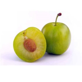 تصویر آلوچه 