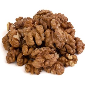 تصویر مغز گردو 