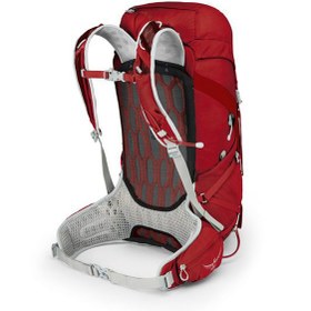 تصویر کوله پشتی آسپری مدل Talon ظرفیت ۳۳ لیتر 