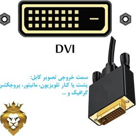 تصویر کابل تصویر DVI به DVI پی نت DVI To DVI P-net 