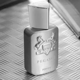 تصویر ادکلن مینیاتوری مردانه پگاسوس برند پرفیوم فکتوری حجم ۳۰ میل Pegasos Perfume Factory 