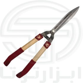 تصویر شمشاد زن تیوان 