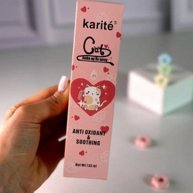 تصویر اسپری فیکس karite Make up fix cat 