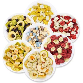 تصویر پک میوه بستنی فلی فود 