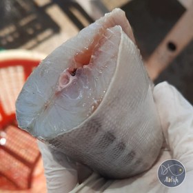 تصویر ماهی شیر نیزه ای ( پک 4 کیلویی ) 