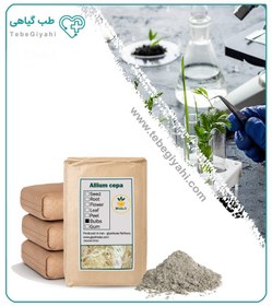 تصویر پودر پیاز فله 