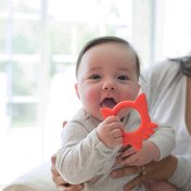 تصویر دندانگیر 003 دکتر براون طرح روباه 