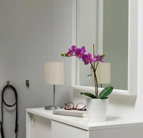 تصویر بوته گل ارکیده SMYCKA